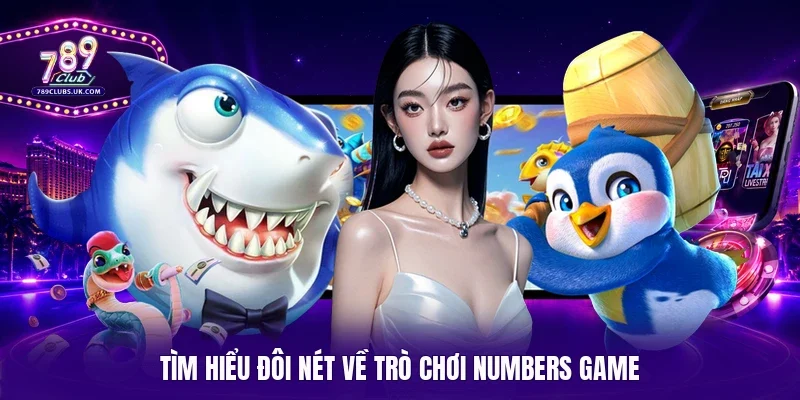 Tìm hiểu đôi nét về trò chơi Numbers Game